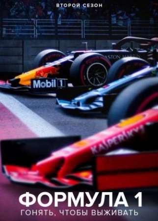 Формула 1. Драйв выживания (1-4 сезон)
